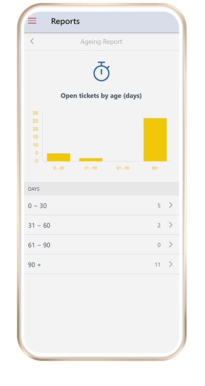 Ageing report